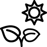 Plants-Plant-Under-Sun-icon